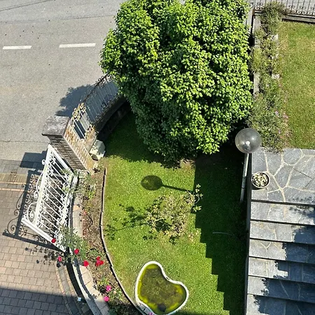 Sofia